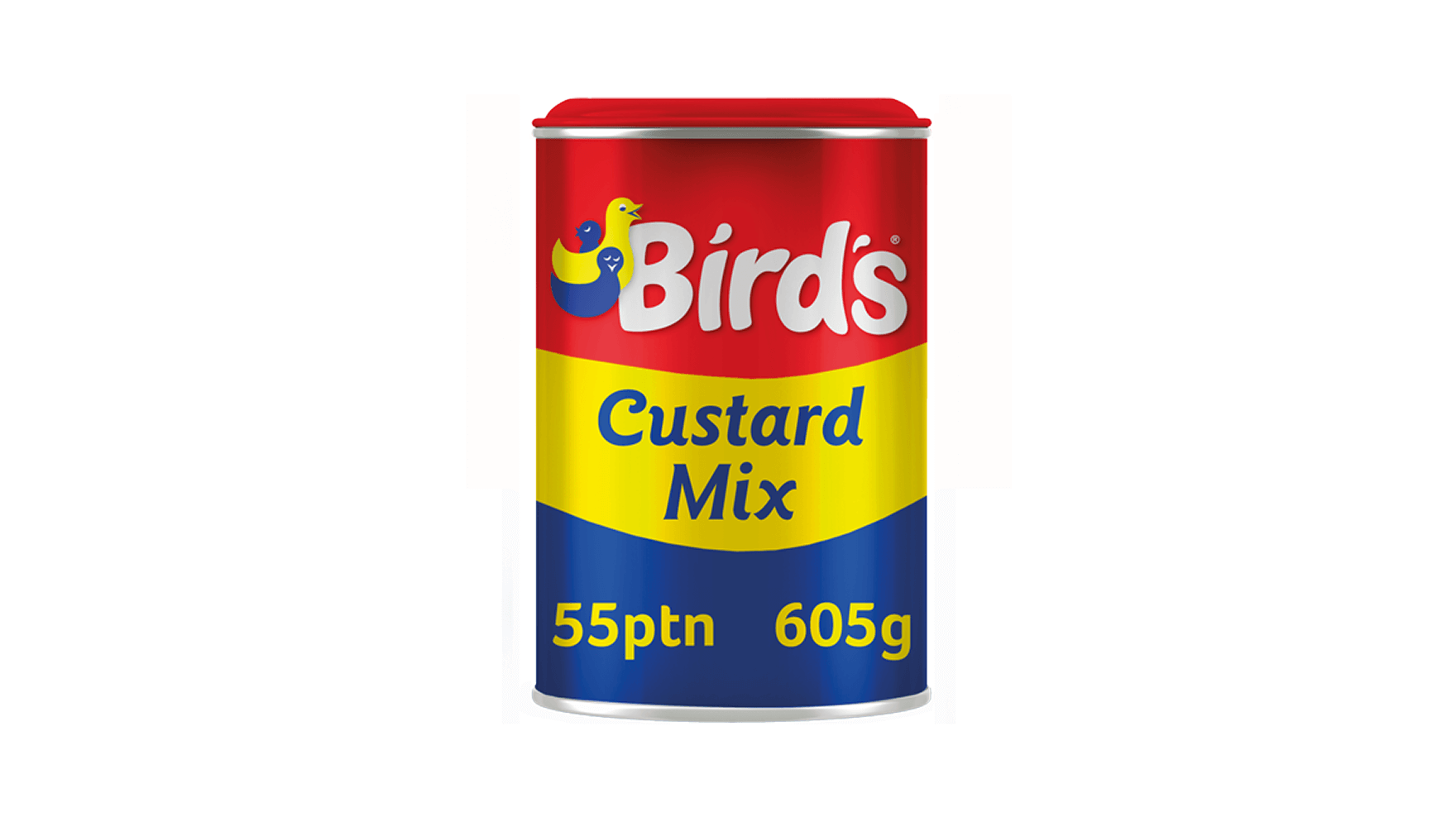 Brid Custard Mix 55ptn 605g